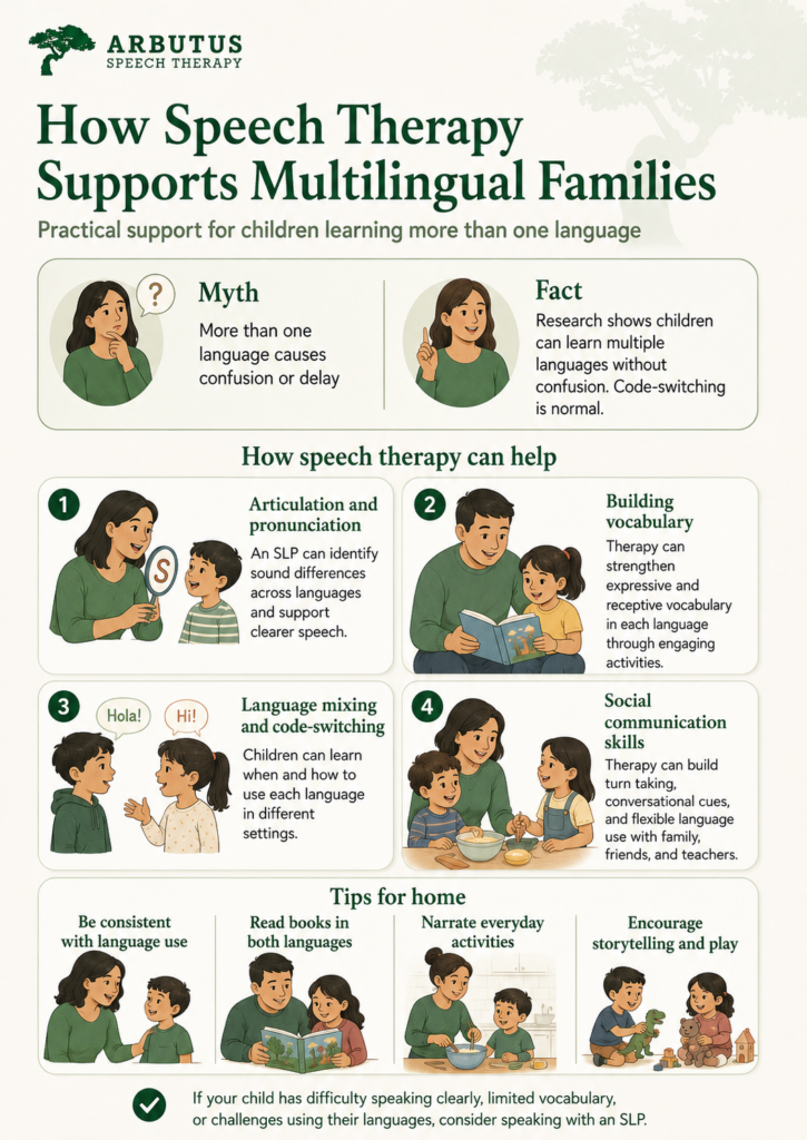 Infographic showing how speech therapy supports multilingual families, including articulation, vocabulary building, code-switching, and social communication